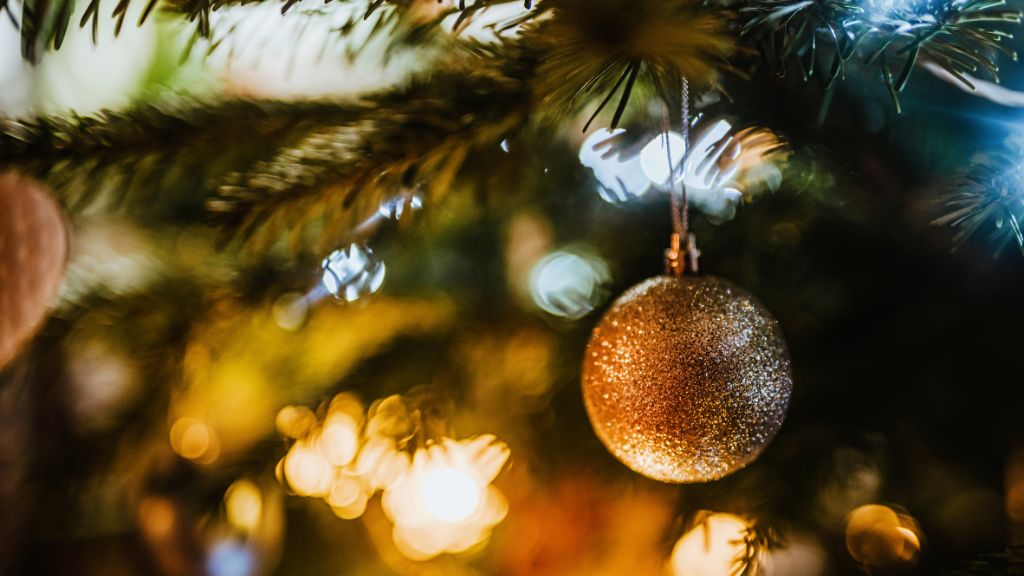 Aangepaste openingstijden en fijne feestdagen 2025